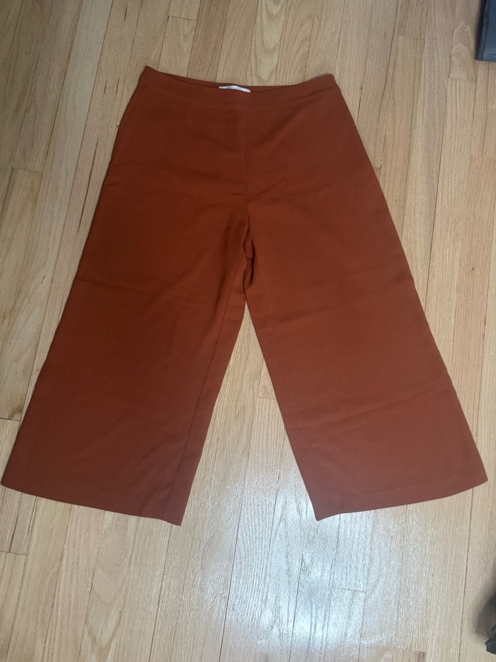 Abercrombie & Fitch Rust-Orange Pants